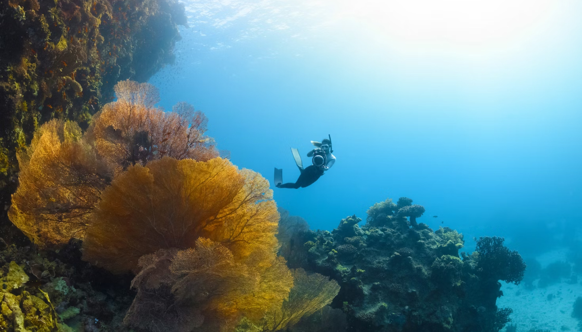 diver with camera